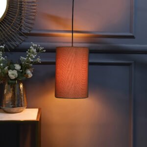 Unique Pendant/Hanging Ceiling Light Fixture for Bedroom, Kitchen, Living Room, Dining Table, Lobby, Kitchen, Black Canopy